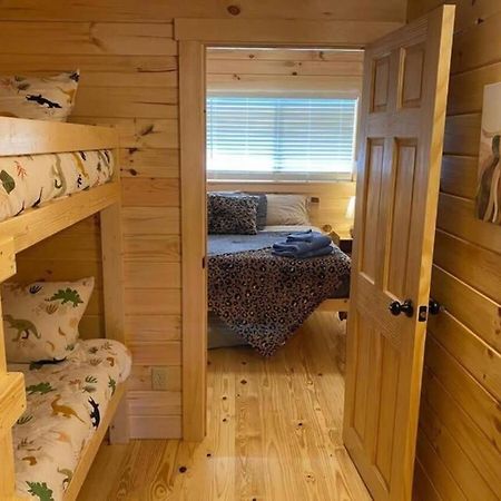 Serene 1Br Cabin Near Nc Z00 With Loft & Waterview 아셔보르 외부 사진